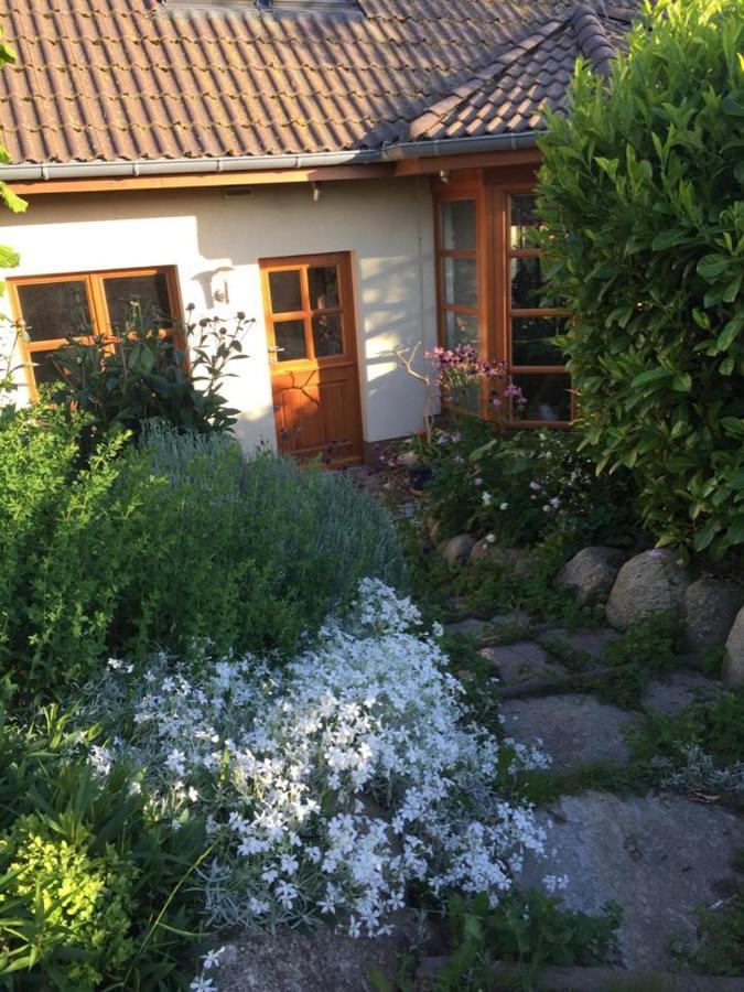 Ferienwohnung Stockrose Middelhagen Zewnętrze zdjęcie
